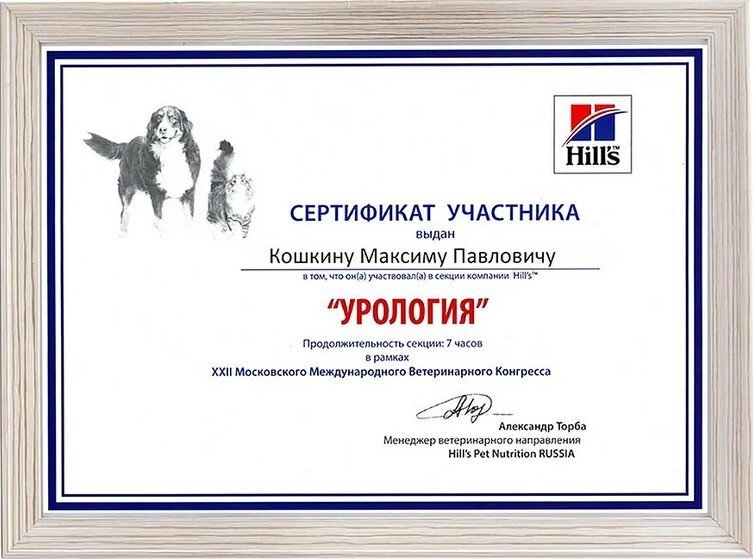 Документ или сертификат