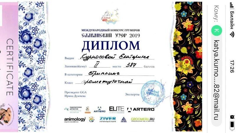 Документ или сертификат