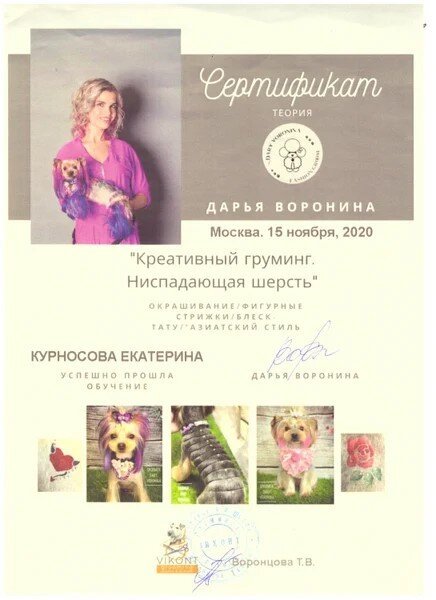 Документ или сертификат