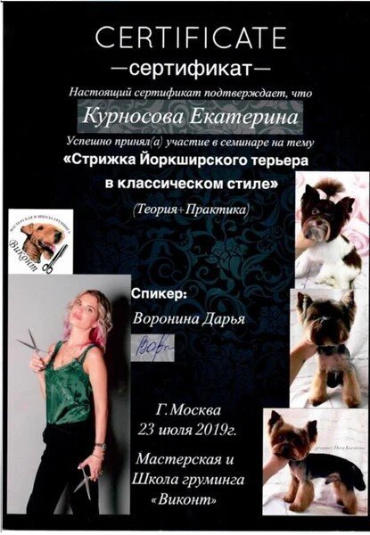 Документ или сертификат