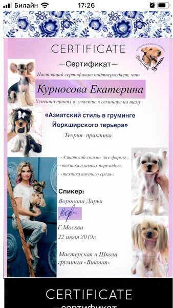 Документ или сертификат