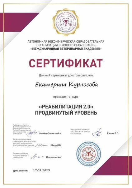 Документ или сертификат