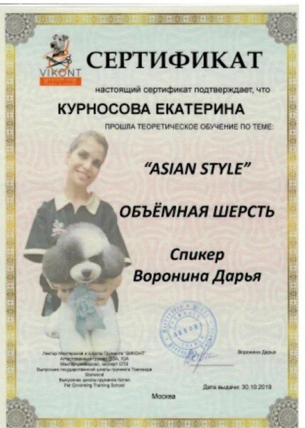 Документ или сертификат