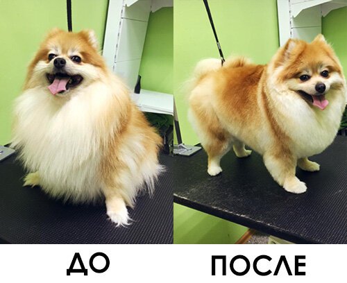 Фото врача