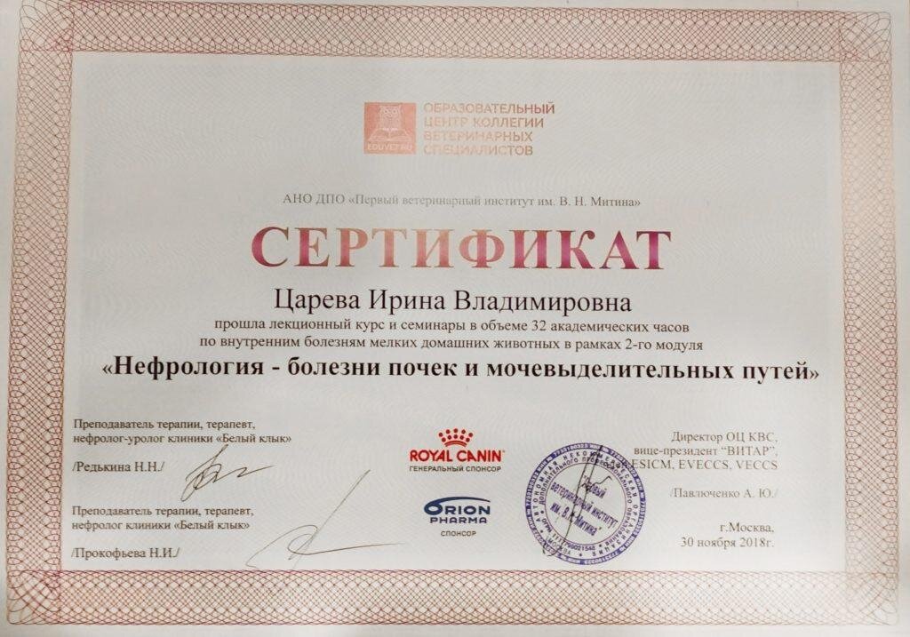 Документ или сертификат