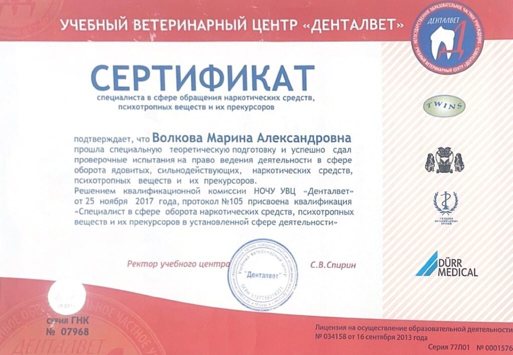 Документ или сертификат