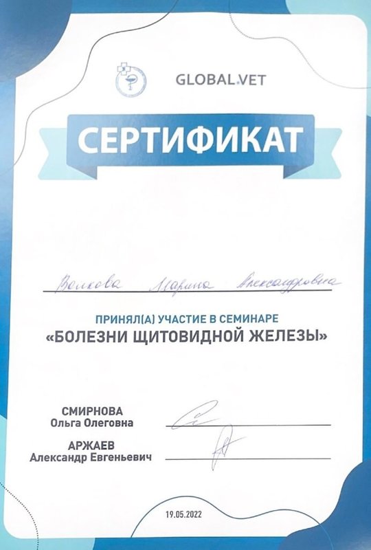 Документ или сертификат