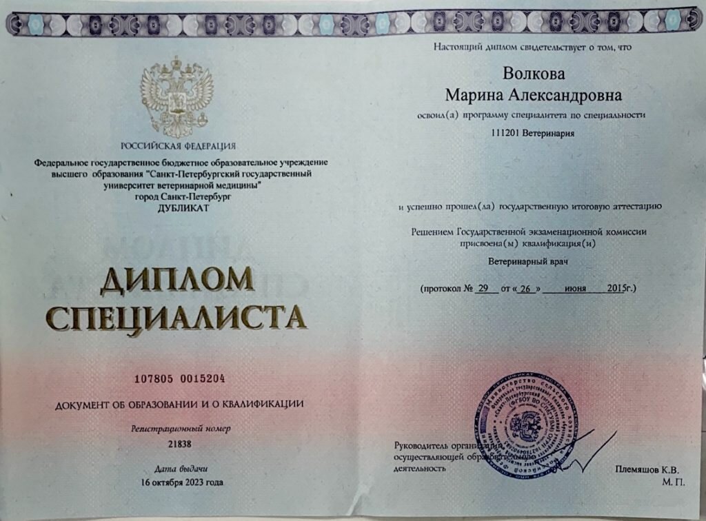 Документ или сертификат