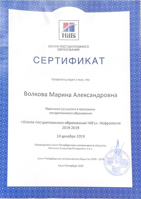 Документ или сертификат