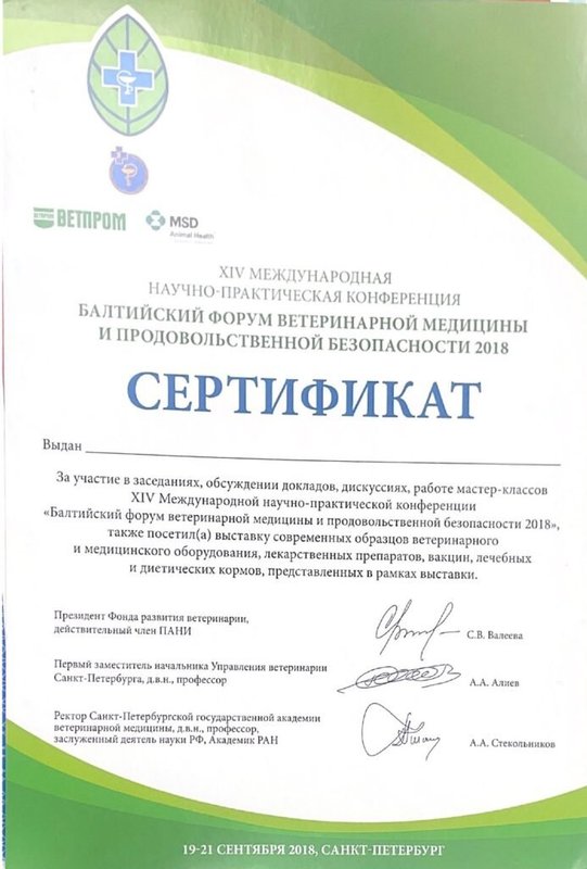 Документ или сертификат