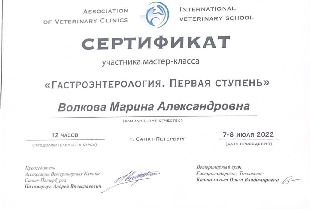 Документ или сертификат