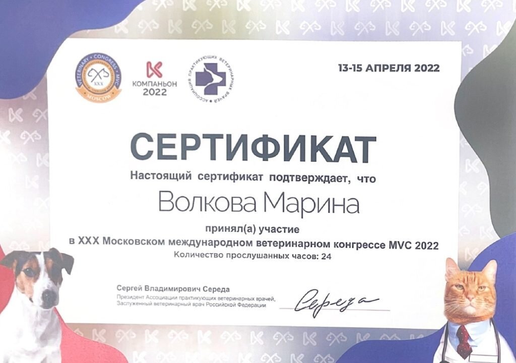 Документ или сертификат