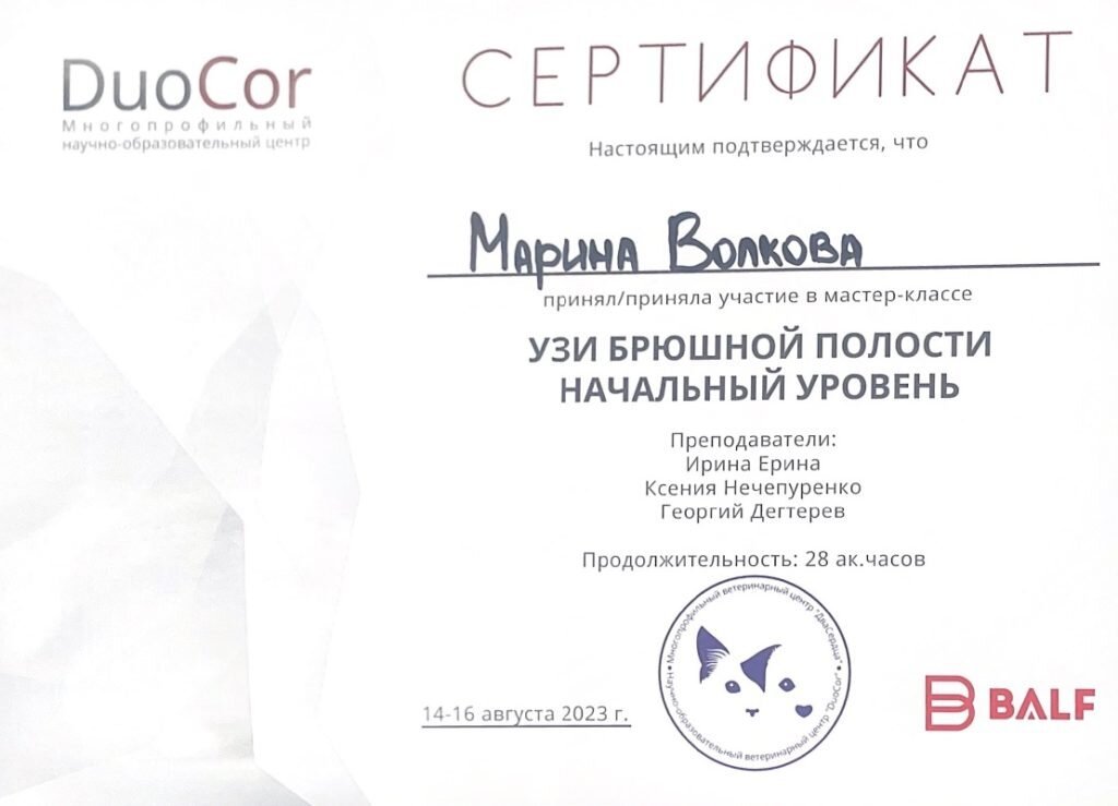 Документ или сертификат