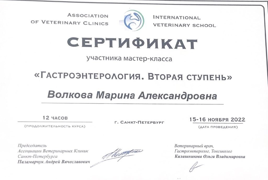 Документ или сертификат