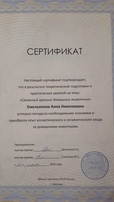 Документ или сертификат