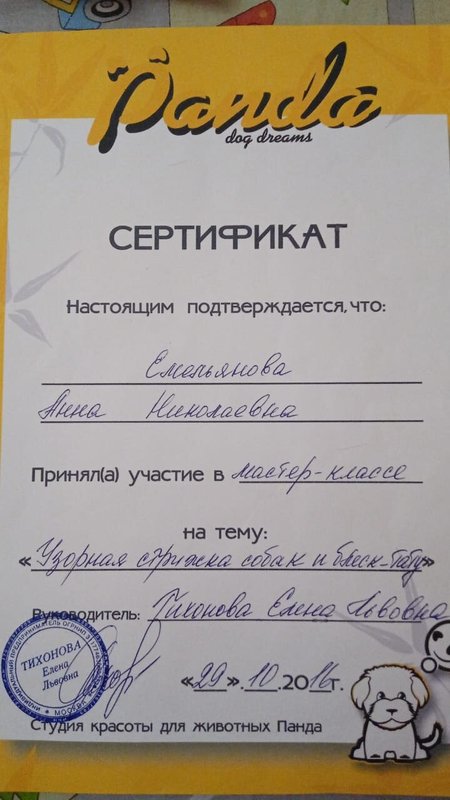 Документ или сертификат