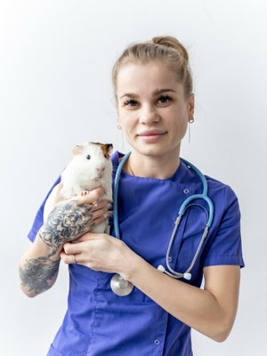 Фото врача Басакина Екатерина Николаевна