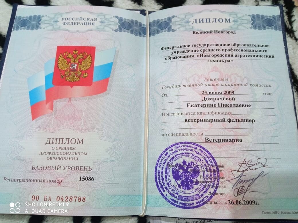 Документ или сертификат