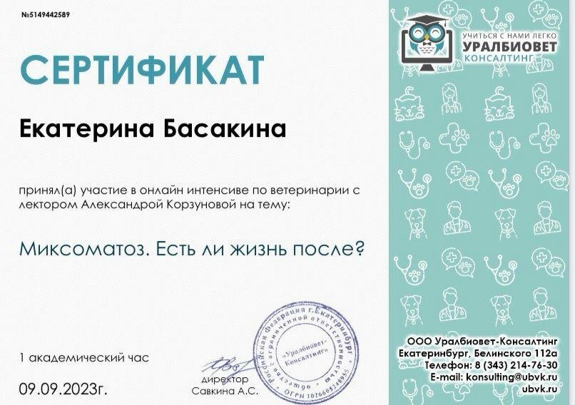 Документ или сертификат