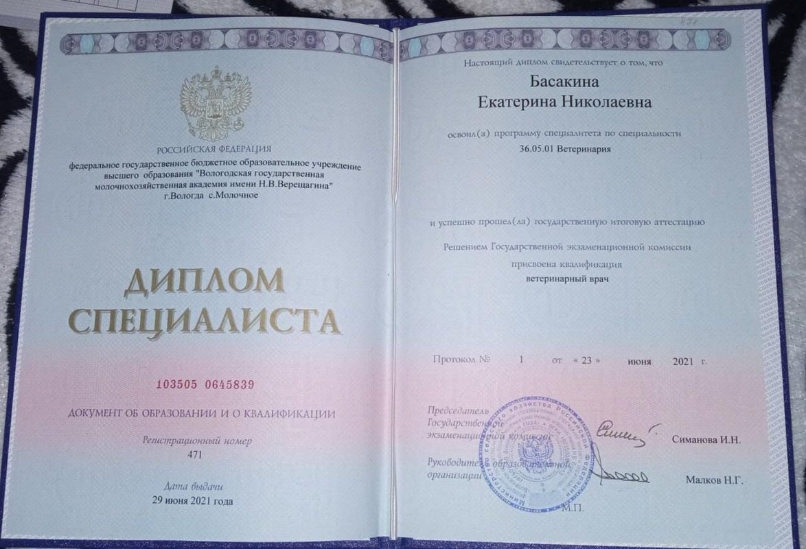 Документ или сертификат