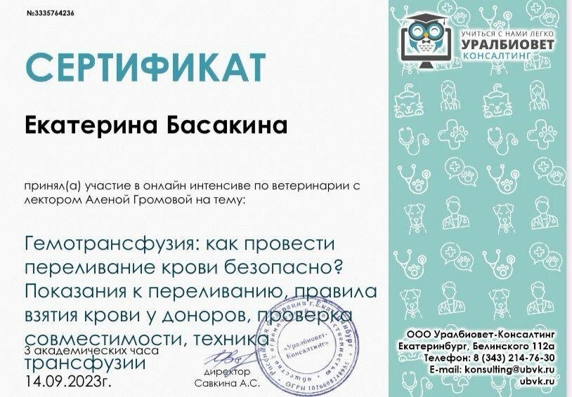 Документ или сертификат