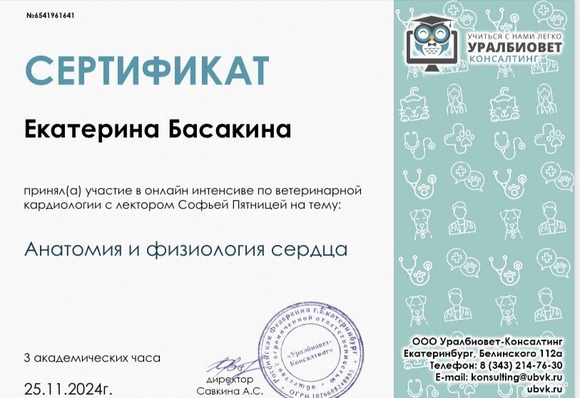 Документ или сертификат