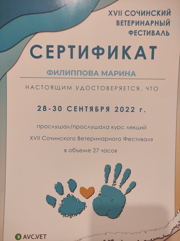 Документ или сертификат