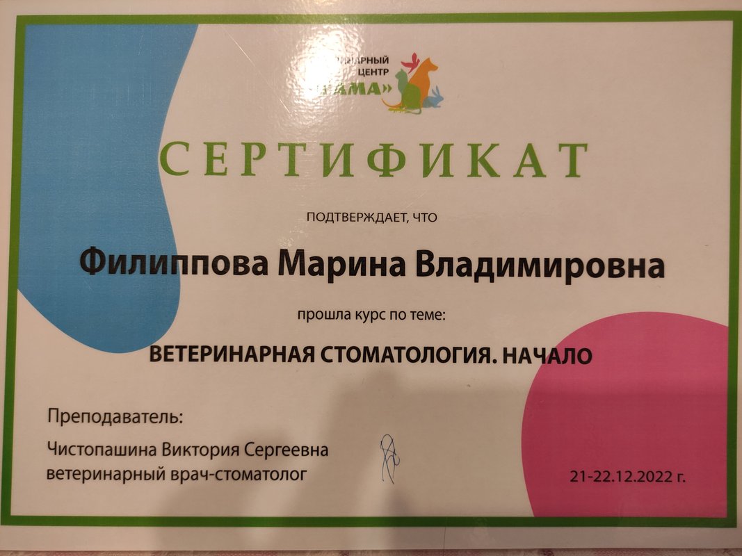 Документ или сертификат