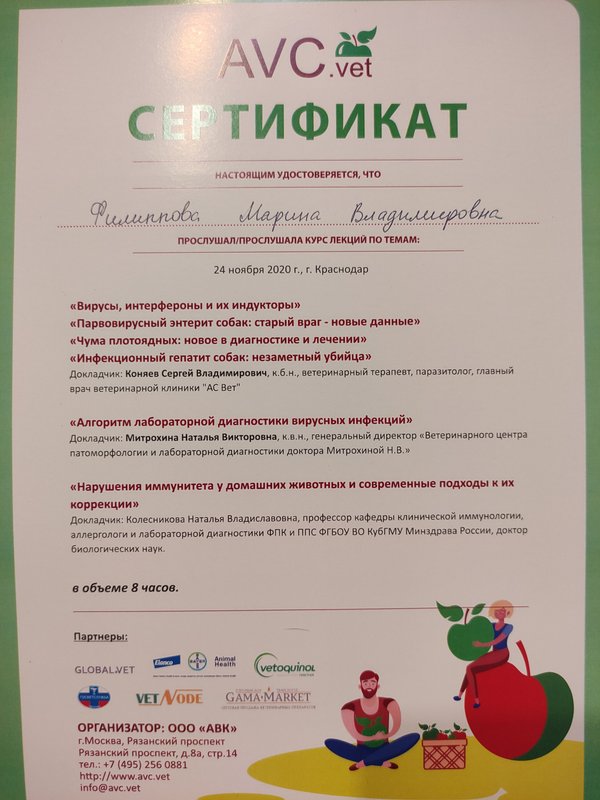 Документ или сертификат