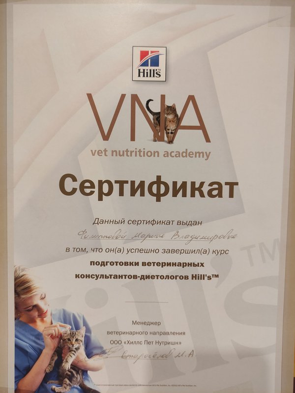 Документ или сертификат