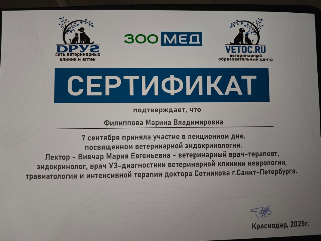 Документ или сертификат