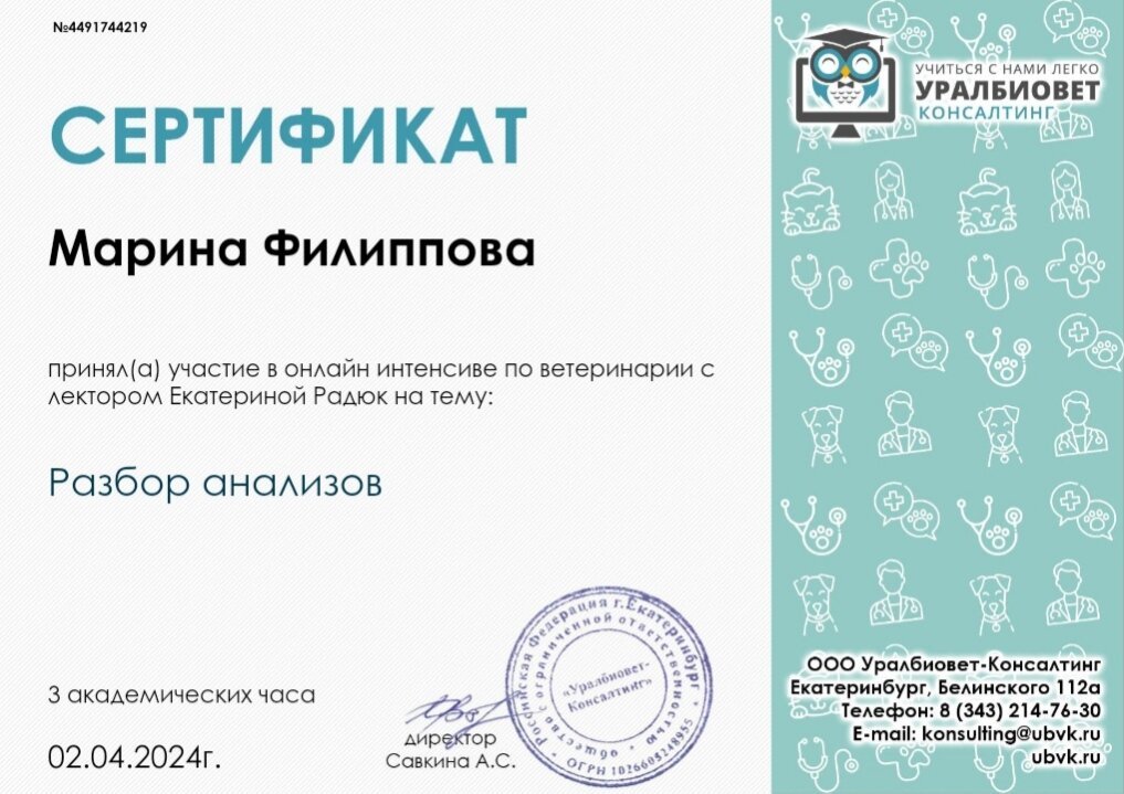 Документ или сертификат