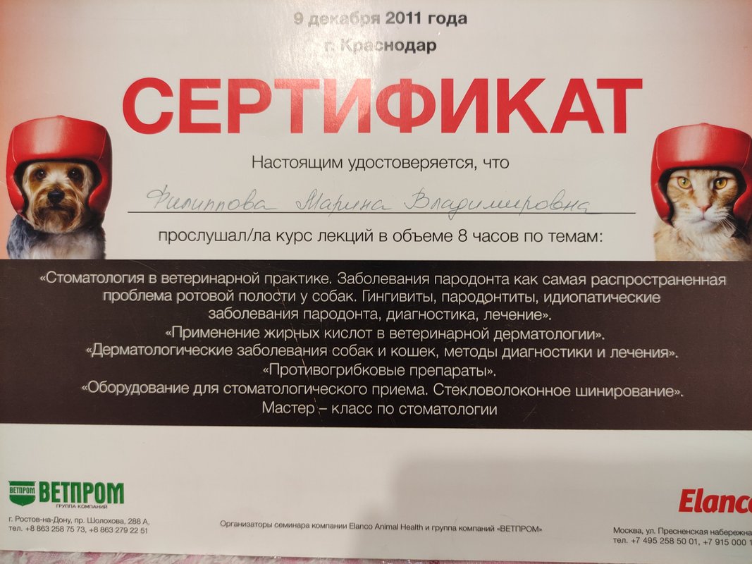 Документ или сертификат