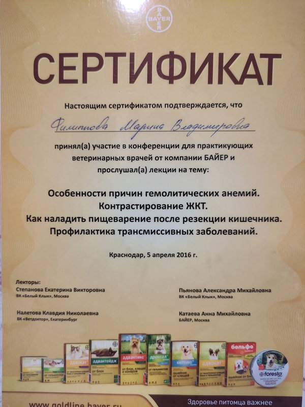 Документ или сертификат