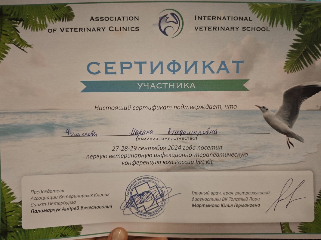 Документ или сертификат