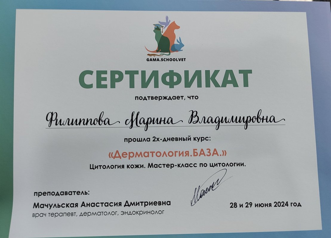 Документ или сертификат