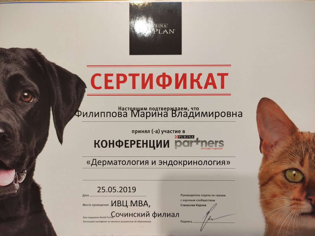 Документ или сертификат