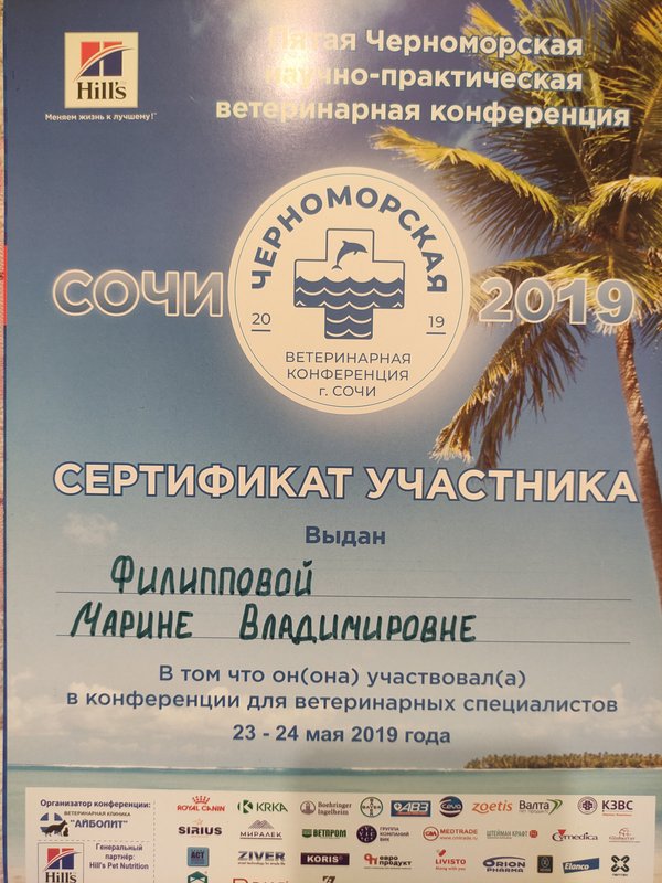 Документ или сертификат