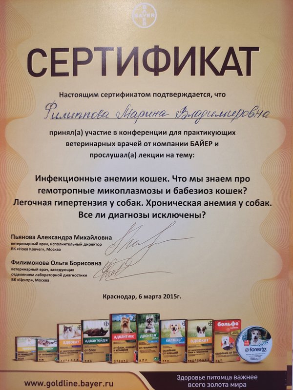 Документ или сертификат