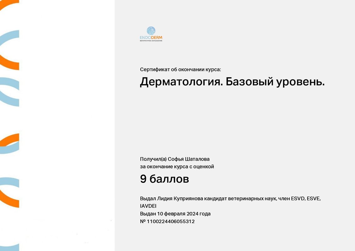 Документ или сертификат
