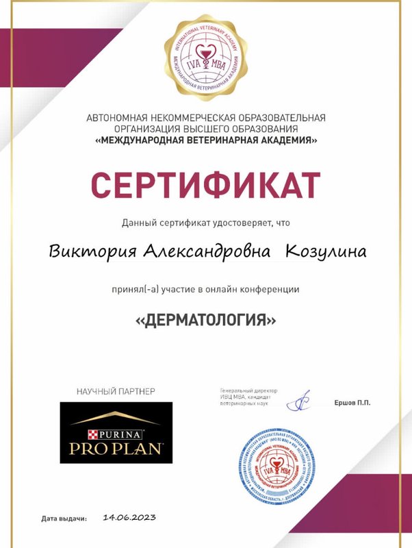 Документ или сертификат