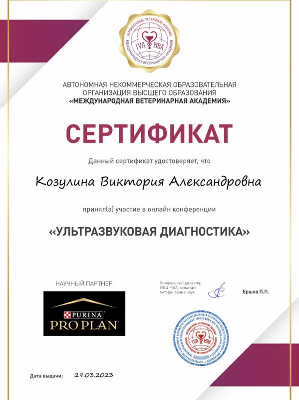 Документ или сертификат
