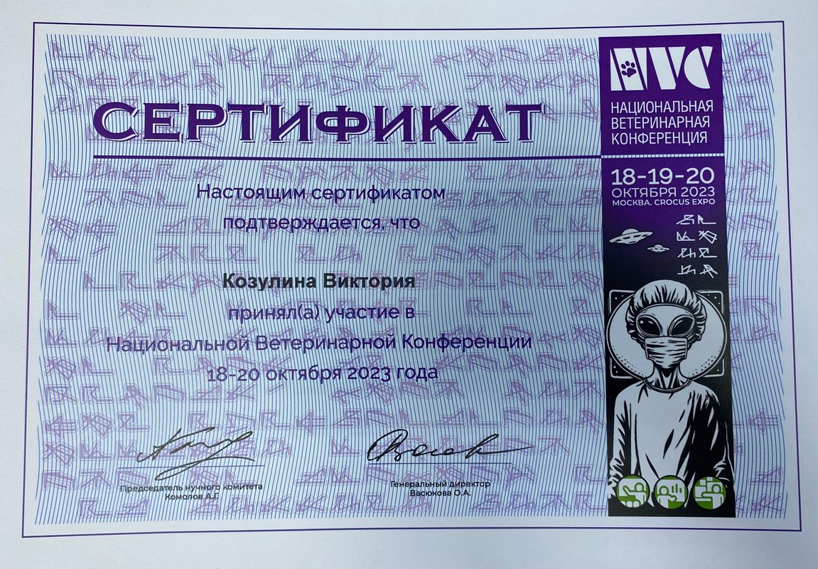 Документ или сертификат