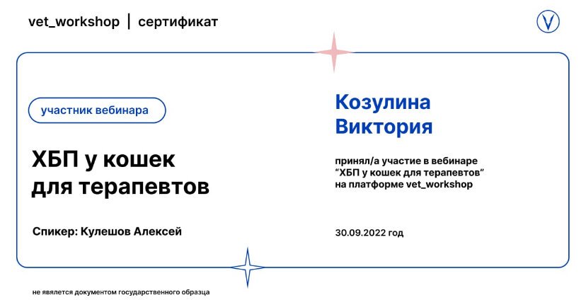 Документ или сертификат