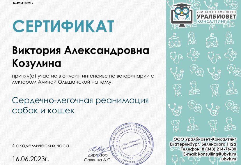 Документ или сертификат