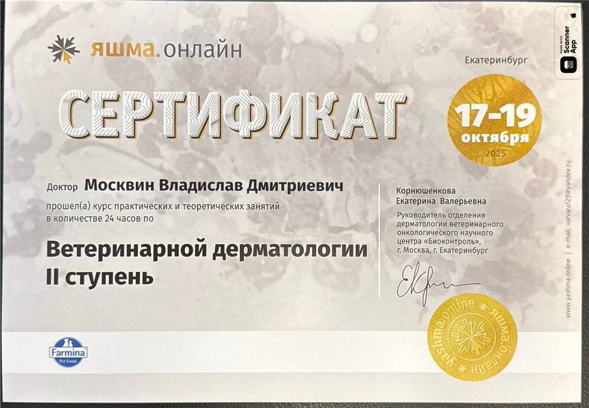 Документ или сертификат
