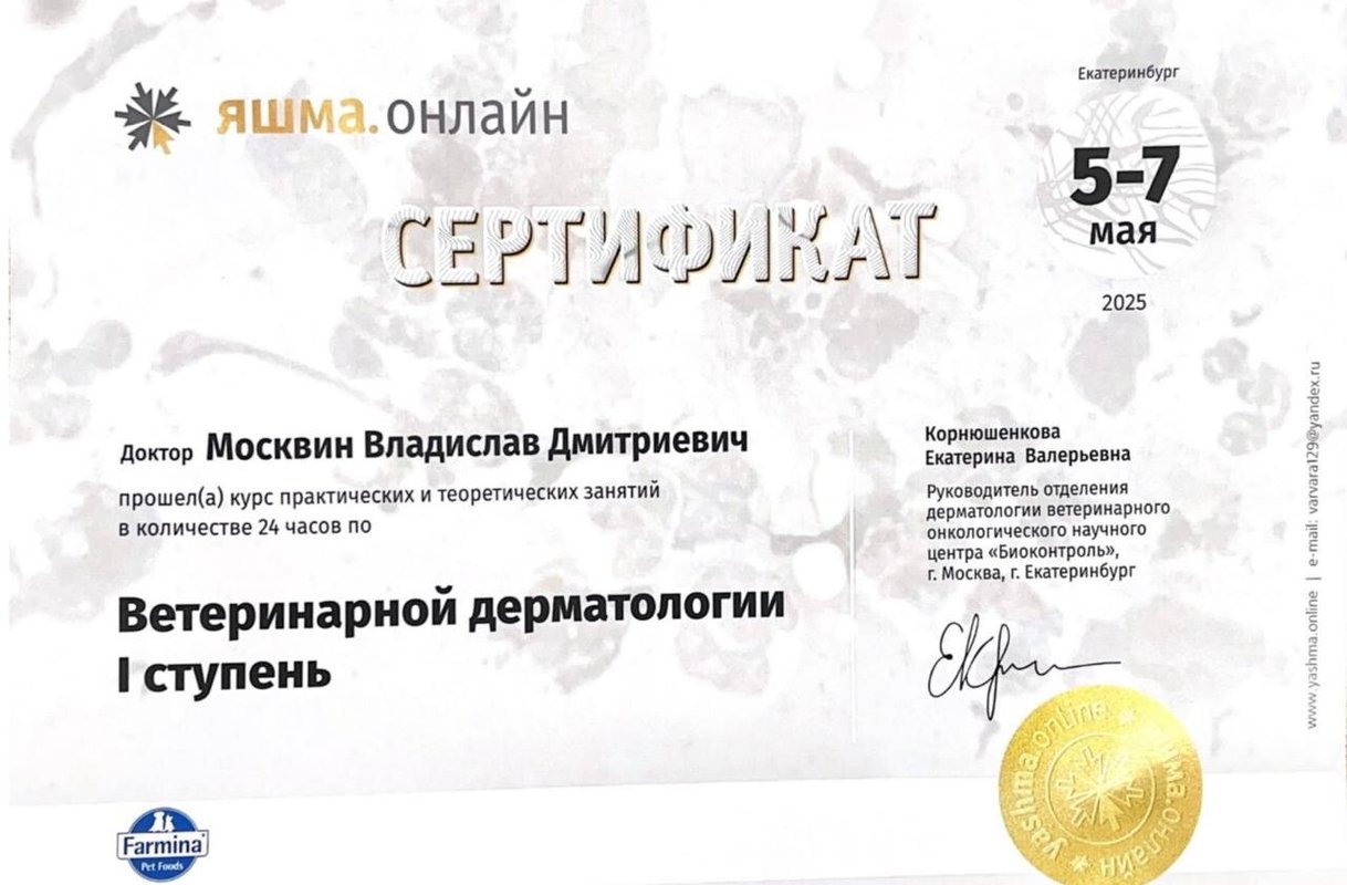 Документ или сертификат
