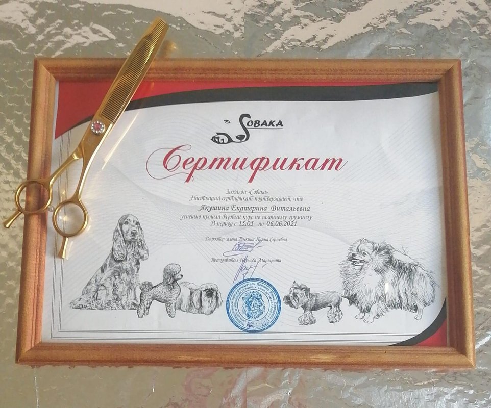 Документ или сертификат