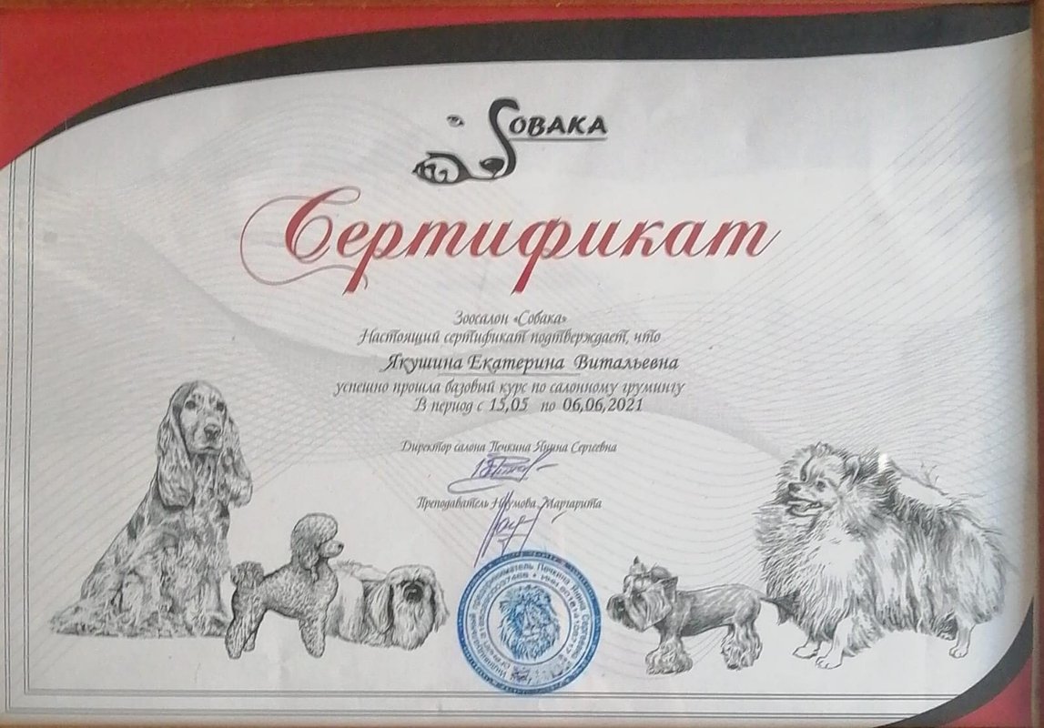 Документ или сертификат