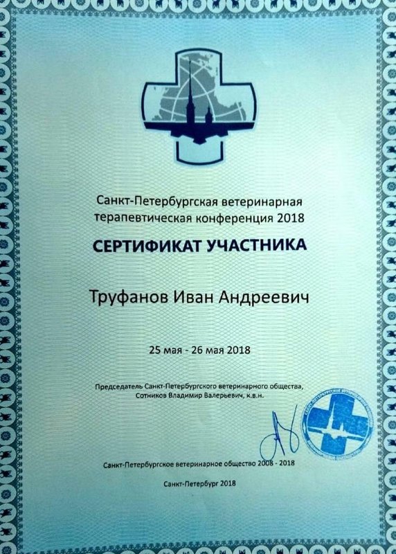 Документ или сертификат